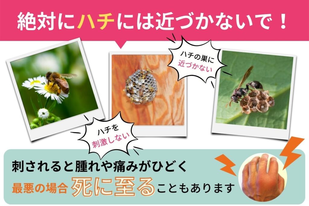 絶対にハチに近づかないで！刺されたら腫れや痛みが酷く、最悪の場合死に至ることもあります。埼玉県飯能市でスズメバチ駆除や害虫駆除や害獣駆除は蜂の巣駆除産業へ。