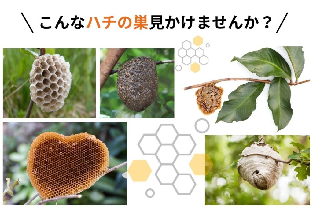 蜂の巣を見かけませんか？埼玉県飯能市でスズメバチ駆除や害虫駆除や害獣駆除は蜂の巣駆除産業へ。