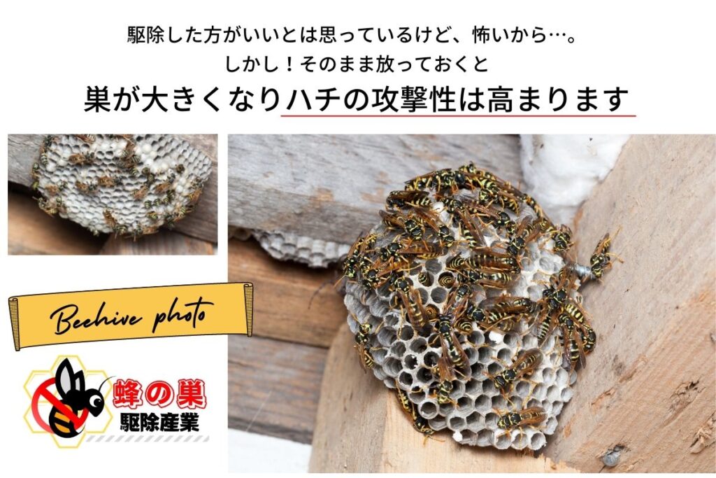 駆除した方が良いとは思ってるけど怖いと放置しておくと、巣が大きくなりハチの攻撃性は高まります。埼玉県飯能市でスズメバチ駆除や害虫駆除や害獣駆除は蜂の巣駆除産業へ。