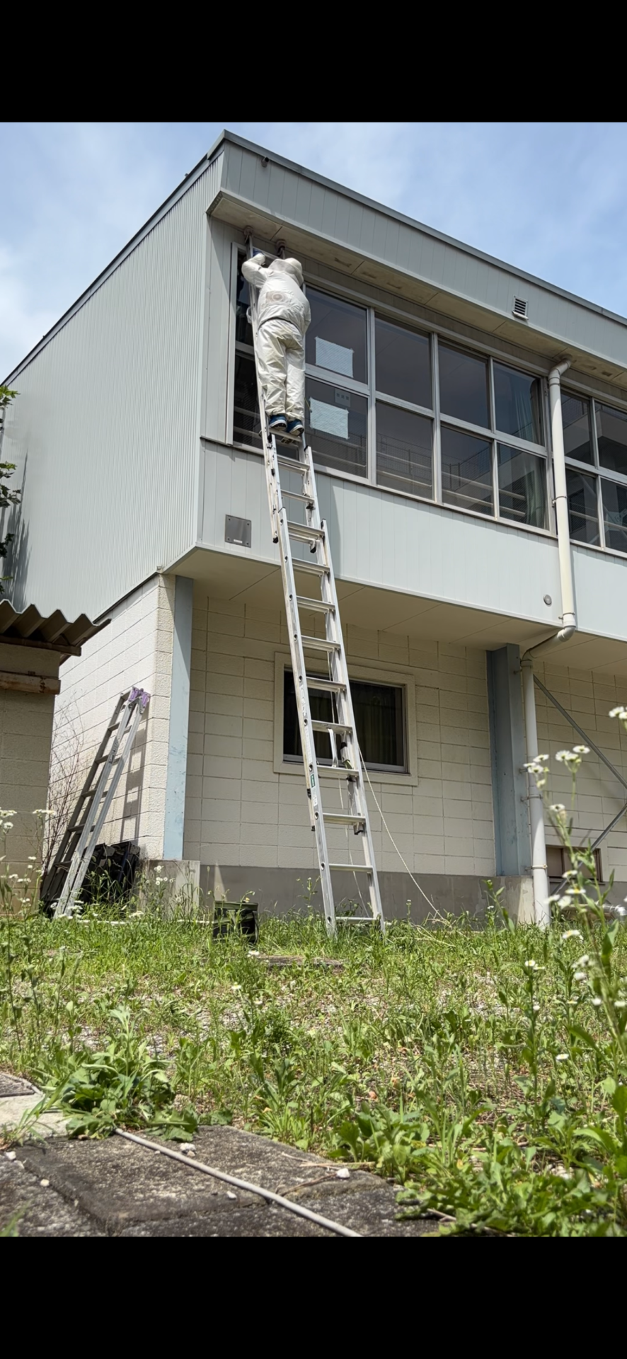はしごを使用して体育館の高所で作業するスタッフ