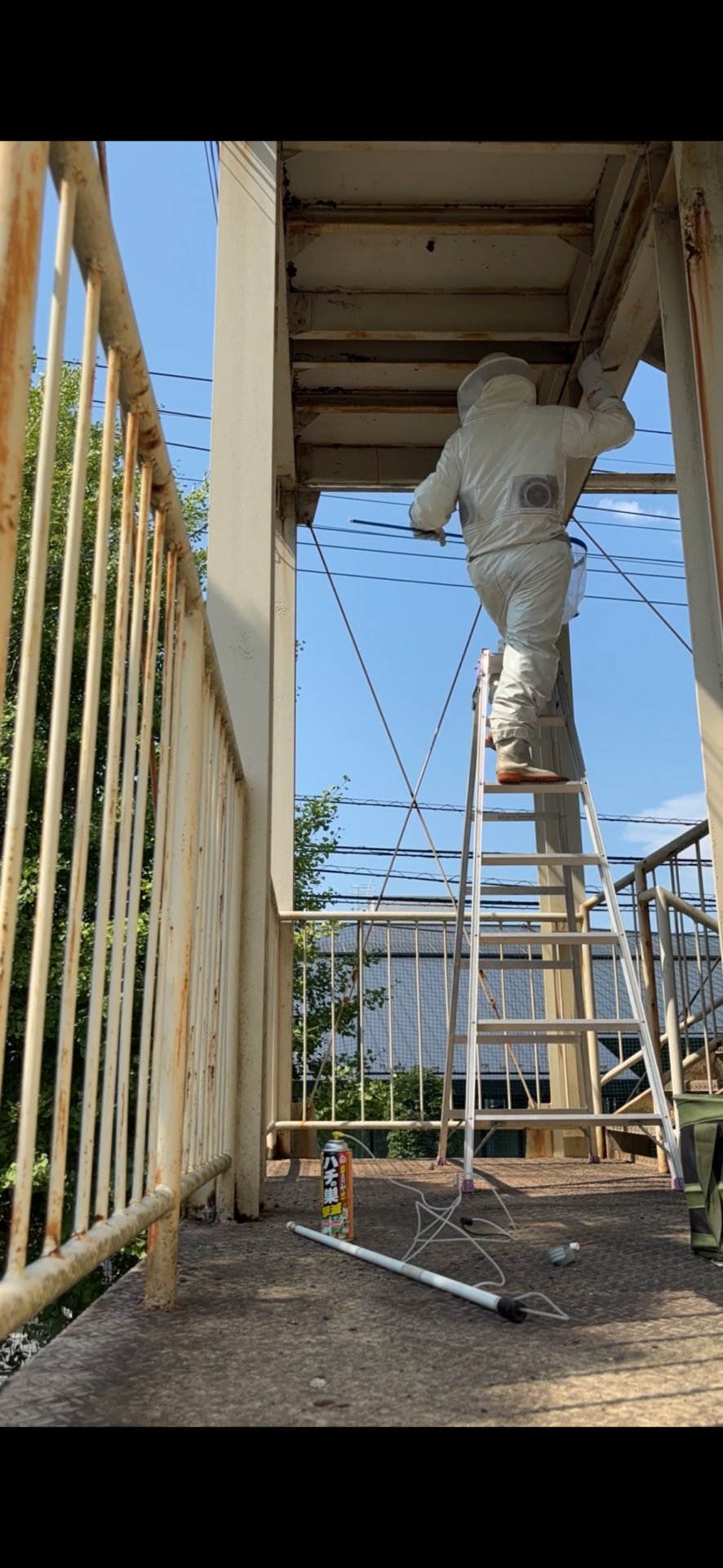 防護服を着用して駆除作業を行うスタッフ